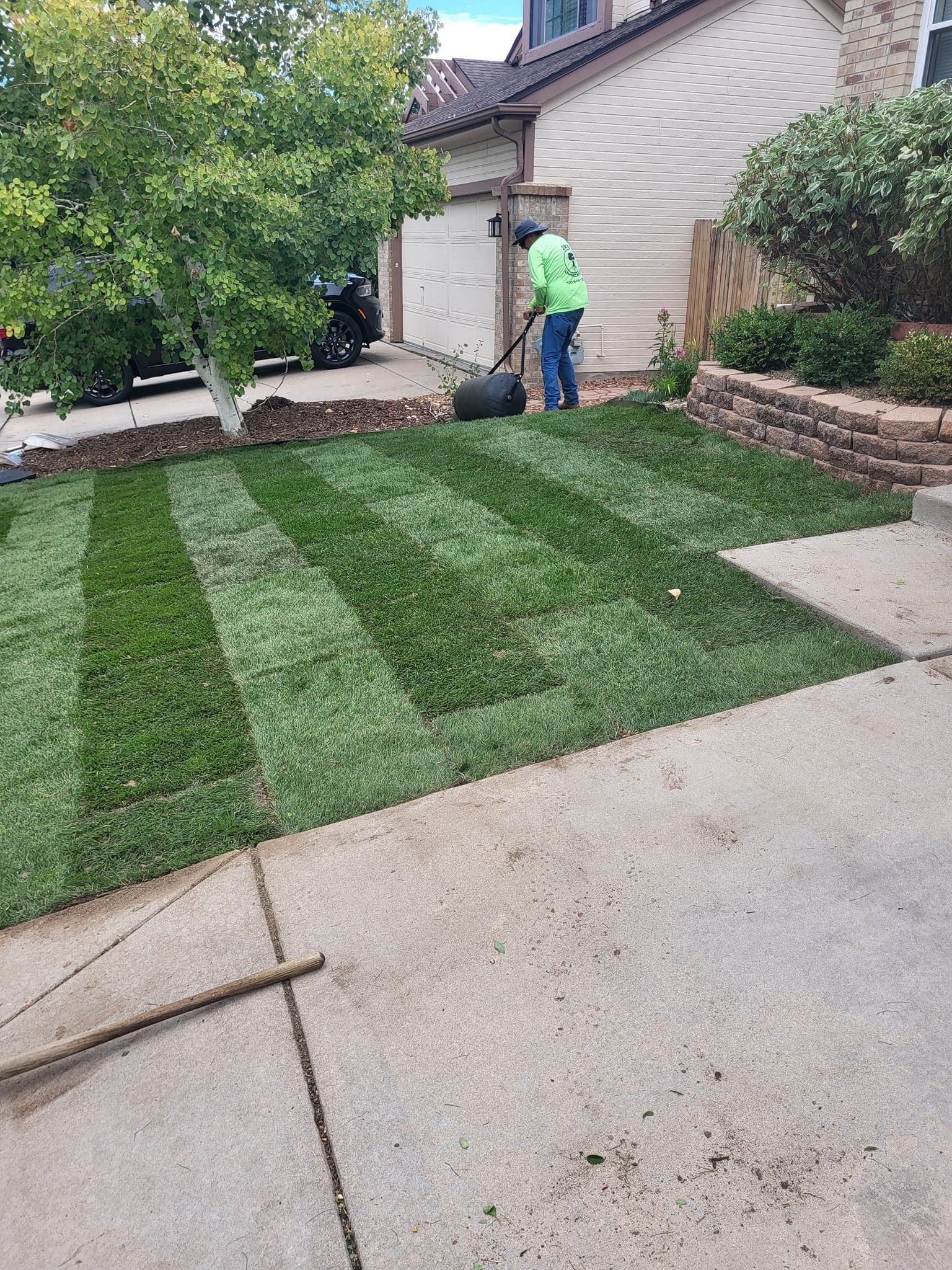 Lush green lawn in sunlight